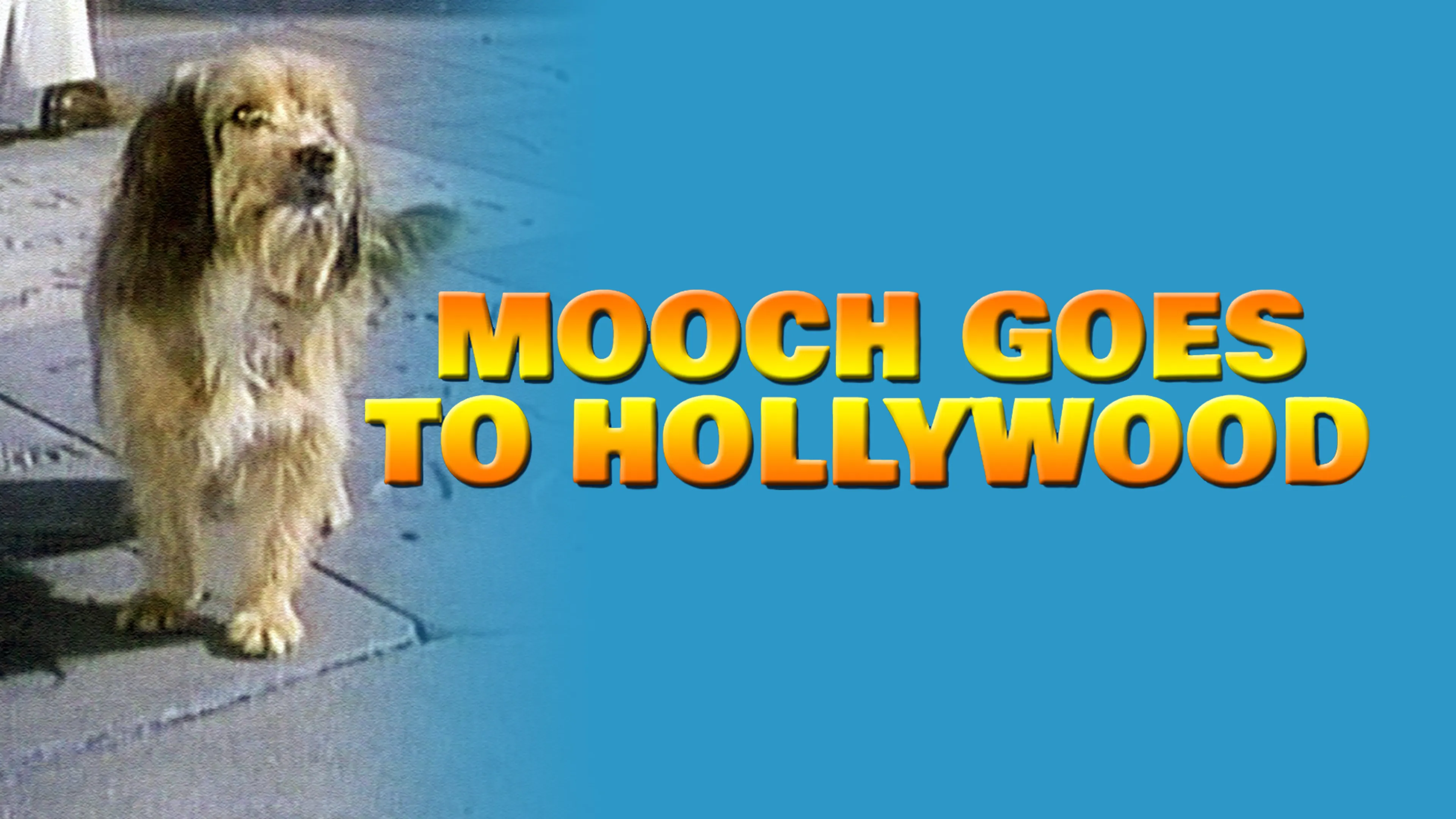 Mooch Goes to Hollywood poster